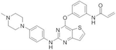 Olmutinib (BI1482694/HM61713), a Novel Epidermal Growth Factor Receptor Tyrosine Kinase Inhibitor, Reverses ABCG2-Mediated Multidrug Resistance in Cancer Cells